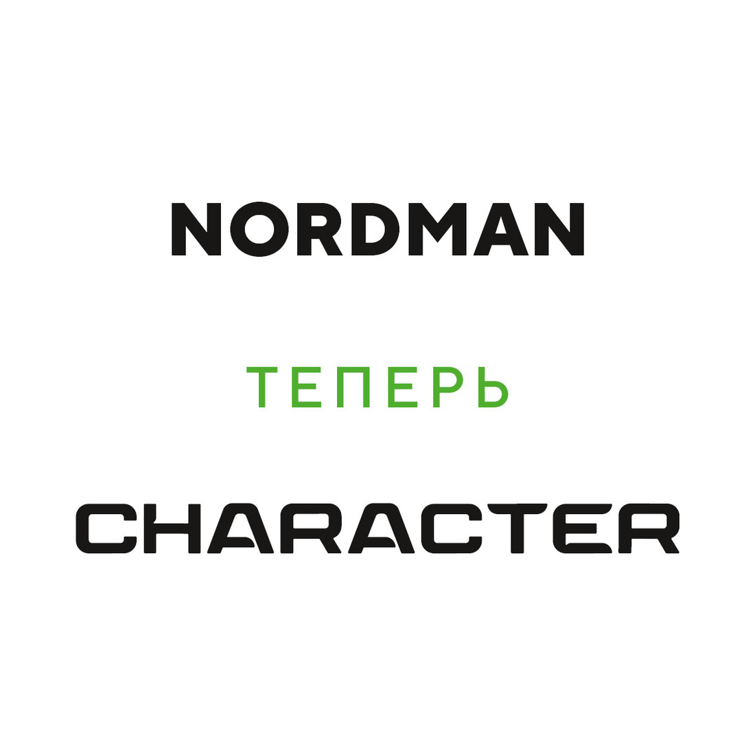 205/55  R16  Ikon (Nokian Tyres) Nordman SX3 (Character Eco) 91H Вид 2
