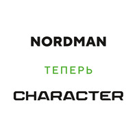 205/55  R16  Ikon (Nokian Tyres) Nordman SX3 (Character Eco) 91H Вид 3