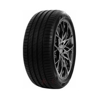 215/55  R17  Delinte DS-2 98W
