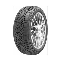 225/40  R19  Maxxis Premitra Snow WP6 ZR 93W