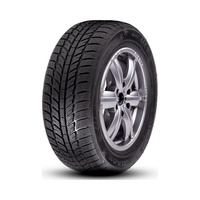 195/50  R15  ROADX RXFROST WH01 86V XL